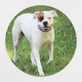 ボクサー ラベル (デザイン1)