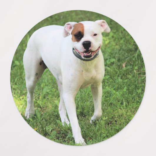 ボクサー ラベル (デザイン1)