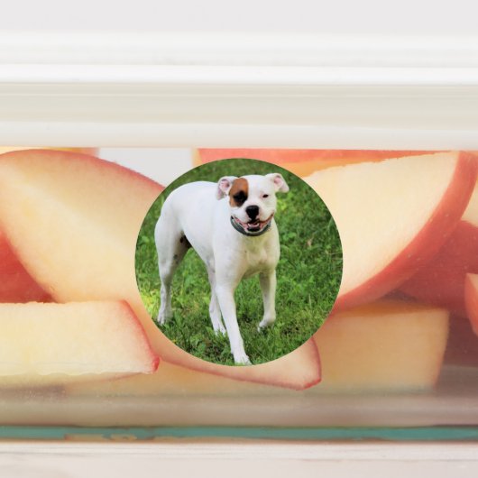 ボクサー ラベル (貼付)