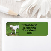 ボクサー ラベル (インサイチュ)