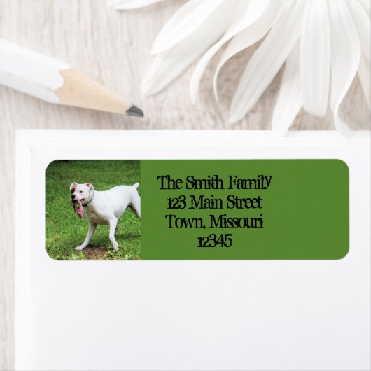 ボクサー ラベル (インサイチュ)