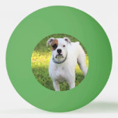 ボクサー 卓球ボール (裏面)