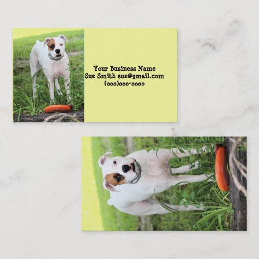 ボクサー 名刺 (正面/裏面)