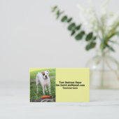 ボクサー 名刺 (スタンド正面)