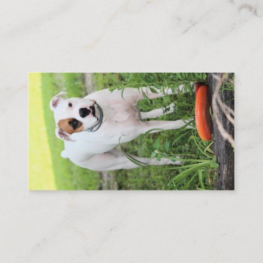 ボクサー 名刺 (裏面)