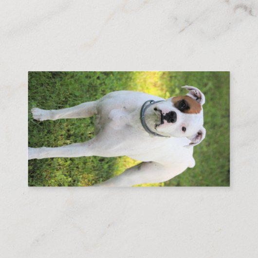 ボクサー 名刺 (裏面)