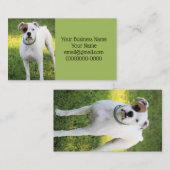 ボクサー 名刺 (正面/裏面)