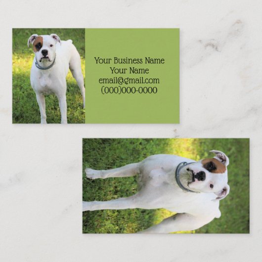 ボクサー 名刺 (正面/裏面)