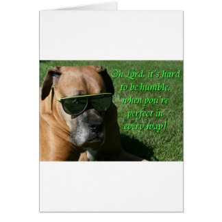 ボクサー:  控え目がある懸命