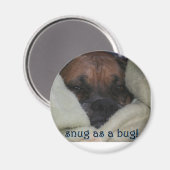 ボクサー： Snugg as a Bug マグネット (正面/裏面)