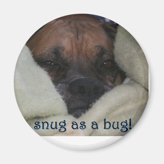 ボクサー： Snugg as a Bug マグネット (正面)