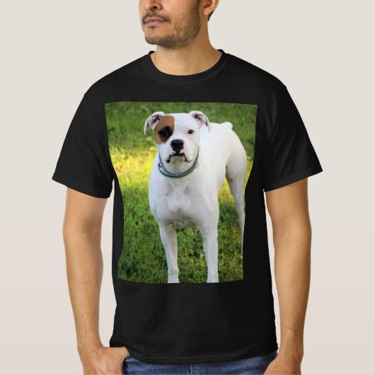 ボクサー Tシャツ (正面)