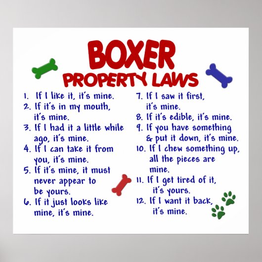 ボクサーPL2 ポスター (正面)