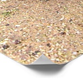 ボクシングカンガルー、ポスター ポスター (角)