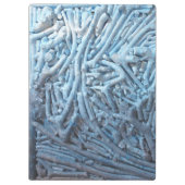 ボクシングス：青 クリップボード (裏面)