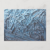 ボクシングス：青 ポストカード (正面)