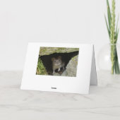 ボクシング カード (裏面)