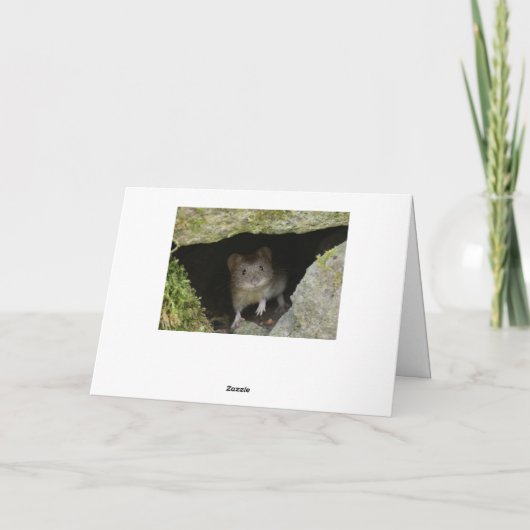 ボクシング カード (裏面)