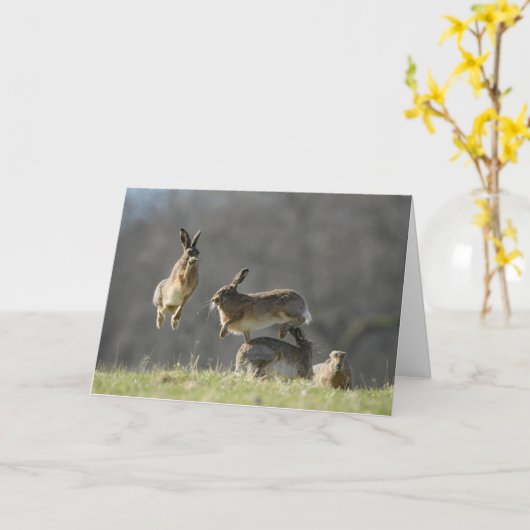 ボクシング カード (黄色い花)