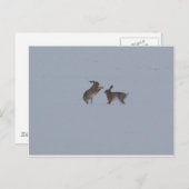 ボクシング ポストカード (正面/裏面)