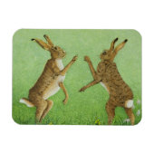 ボクシング マグネット (横)