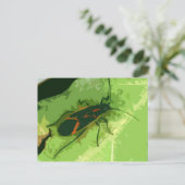 ボクスレーターバグ ポストカード (スタンド正面)