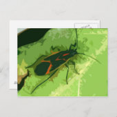 ボクスレーターバグ ポストカード (正面/裏面)