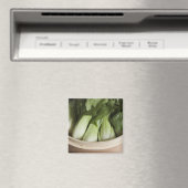 ボクチョイ マグネット (インサイチュ (食洗機))