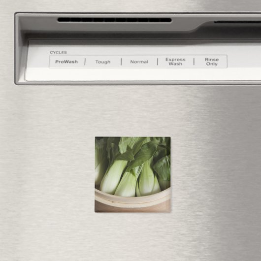 ボクチョイ マグネット (インサイチュ (食洗機))