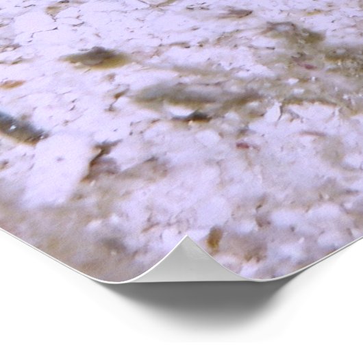 ボクフィッシュ ポスター (角)