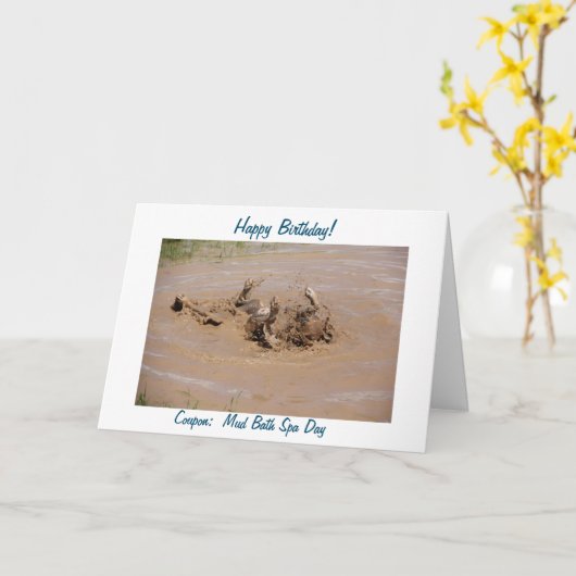 ボクユーモアのあるサーのスパ泥風呂！ カード (黄色い花)