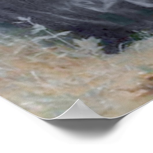 ボグエラウラプティートトリコテウス ポスター (角)