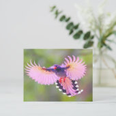 ボゲル ポストカード (スタンド正面)