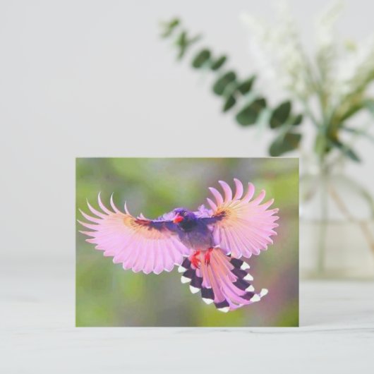 ボゲル ポストカード (スタンド正面)