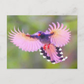 ボゲル ポストカード (正面)