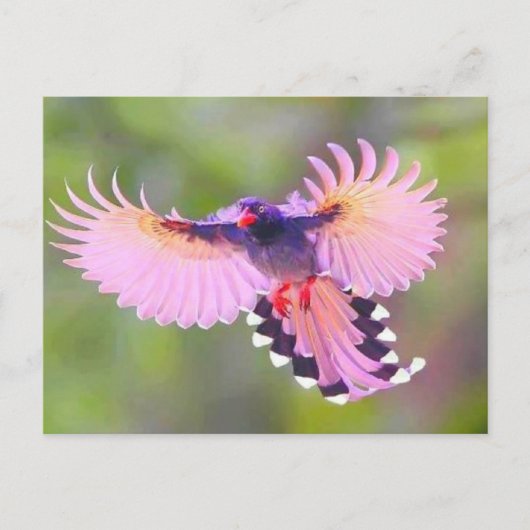 ボゲル ポストカード (正面)