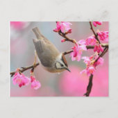 ボゲル ポストカード (正面)