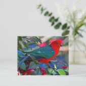 ボゲル ポストカード (スタンド正面)