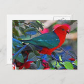 ボゲル ポストカード (正面/裏面)