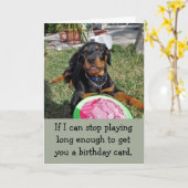 ボシよくはしゃぐーロットワイラー誕生日カード カード (黄色い花)