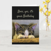 ボスが隠せない誕生日かわいい子猫 カード (黄色い花)