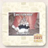 ボスの戦いは今話すことができません コースター (正面)