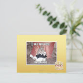 ボスの戦いは今話すことができません ポストカード (スタンド正面)