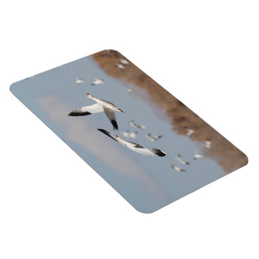 ボスクの空に咲く マグネット (右側)