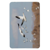 ボスクの空に咲く マグネット (縦)