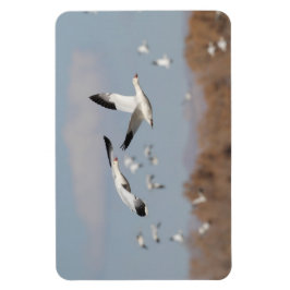 ボスクの空に咲く マグネット