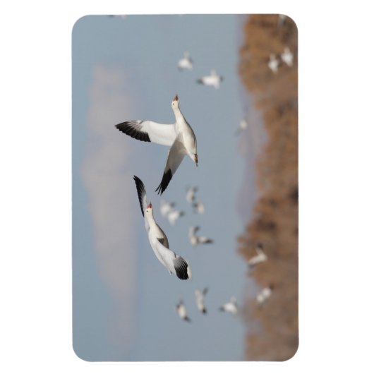 ボスクの空に咲く マグネット (縦)