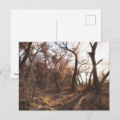 「ボスク合唱団」 ポストカード (正面/裏面)