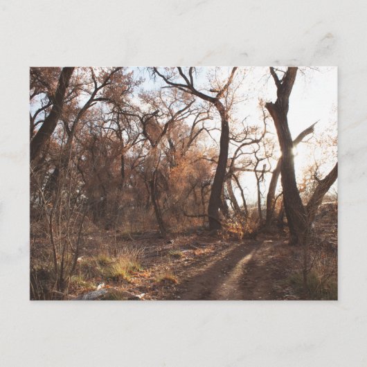 「ボスク合唱団」 ポストカード (正面)