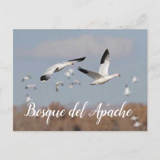 ボスク・デル・アパッチの空にゲーゼ ポストカード (正面)